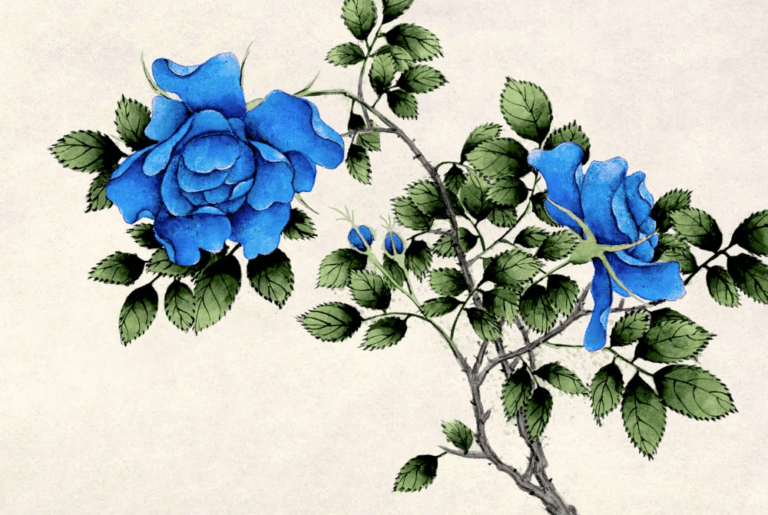 A painting of blue roses to illustrate a retelling of The Blue Rose story. The painting is by Zhang Ruoai, but the colors have been digitally altered.